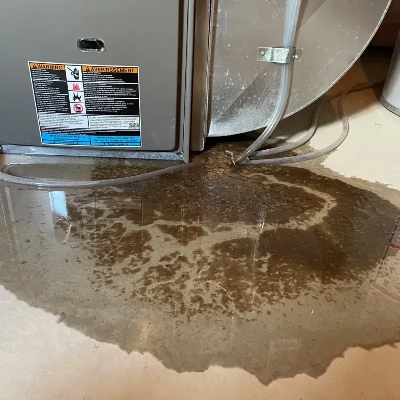 Appliance Leak Cleanup in Marion County, IN